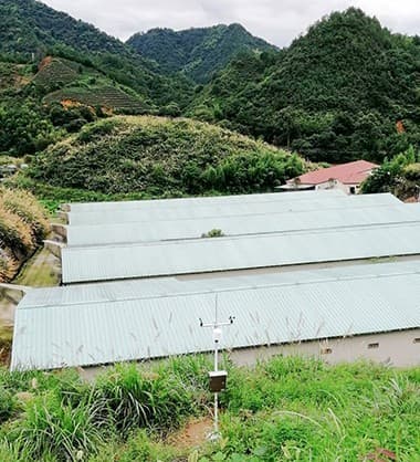 五要素自动气象站-浙江某科技有限公司