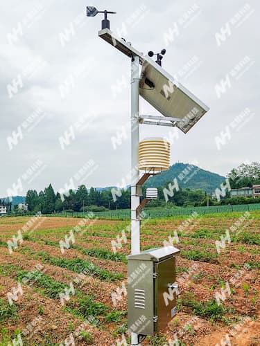 农田气象监测系统-恩施某农业监测项目