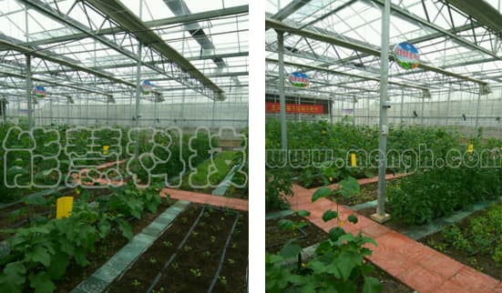 智能温室气象监测站